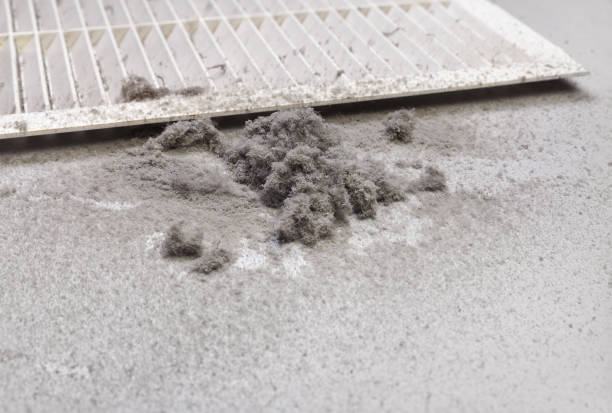 Best Air Duct Cleaning Near Me  in Cheney, WA